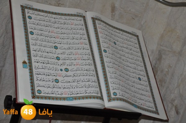 trawe7 7san bek 715 (25).JPG